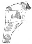 holster 1910
